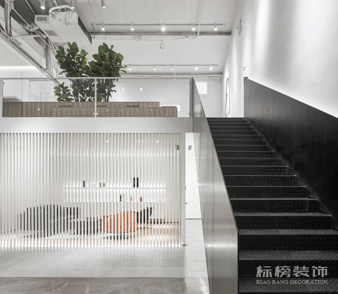 辦公室植物擺放植物有哪些，怎么擺放比較好？
